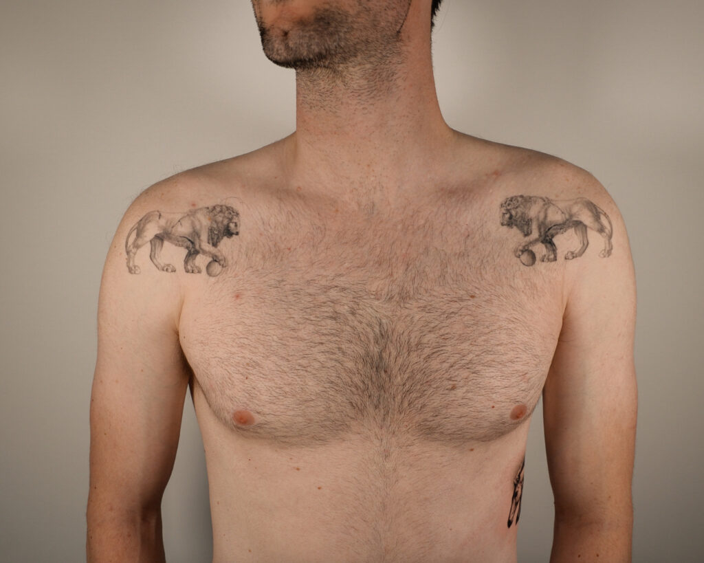 2+ years healed tattoo - Symmetrical Lion Pair - Chest - Vytautas Tattoo