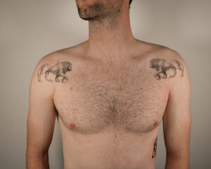 2+ years healed tattoo - Symmetrical Lion Pair - Chest - Vytautas Tattoo